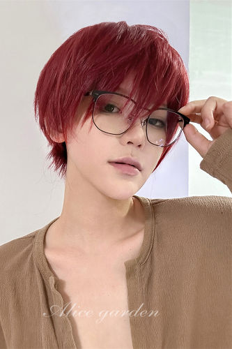 Alice Garden Red Short Hair Prince Wig