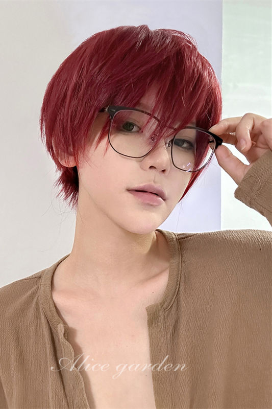 Alice Garden Red Short Hair Prince Wig