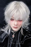 Alice Garden Silver White Prince Wig