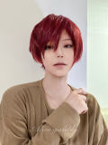 Alice Garden Red Short Hair Prince Wig