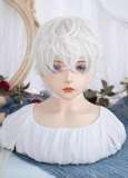 Alice Garden Natural Puffy White Prince Wig