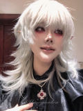 Alice Garden Silver White Prince Wig