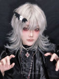 Alice Garden Silver White Prince Wig