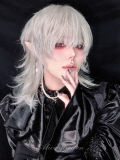 Alice Garden Silver White Prince Wig