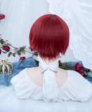 Alice Garden Red Short Hair Prince Wig