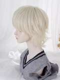 Alice Garden White Golden Prince Wig