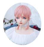 Alice Garden Pink Short Hair Prince Wig