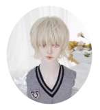 Alice Garden White Golden Prince Wig