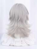 Alice Garden Silver White Prince Wig