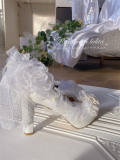 Hexagram Rose Feather Heels Shoes