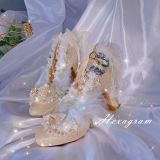 Hexagram Fairy Vine Champagne Heels Shoes