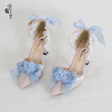 Pointed Toe Floral Lolita Heels Shoes