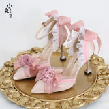 Pointed Toe Floral Lolita Heels Shoes