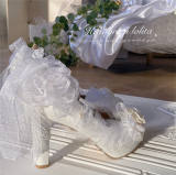 Hexagram Rose Feather Heels Shoes