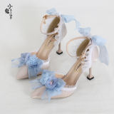 Pointed Toe Floral Lolita Heels Shoes