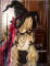 Black Hat + Detachable Wine Bowknot Clip