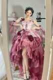 Swan Wonderland Princess Dress Full Set