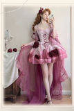 Swan Wonderland Princess Dress Full Set