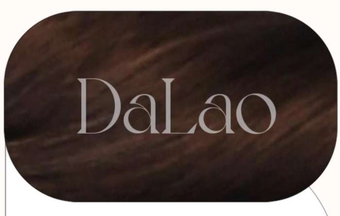 Dalao Home Face Framing Double Ponytails Long Curly Wig