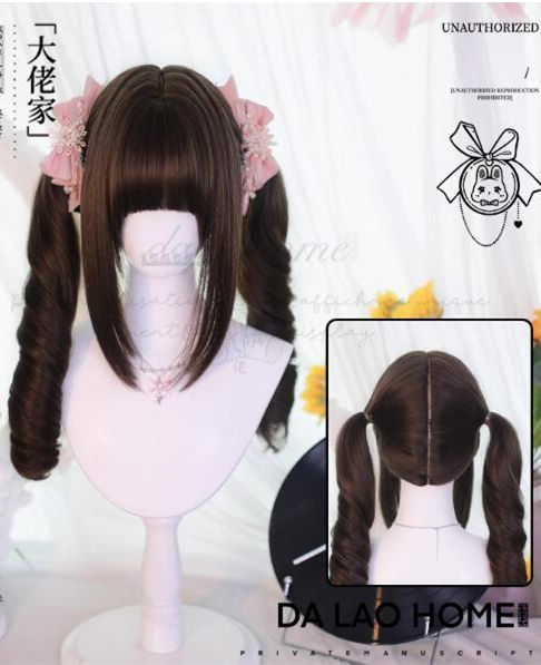 Dalao Home Face Framing Double Ponytails Long Curly Wig