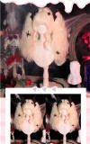Dalao Home Face Framing Lolita Wig with Double Ponytails