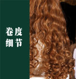 Earl's Daughter Vintage Long Curly Golden Brown Princess Wig