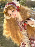 The Princess Diaries Vintage Long Curly Golden Brown Prince Wig