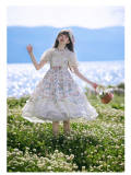 Summer Fairy Milton Gardens Lolita Dress and Blouse