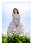 Summer Fairy Milton Gardens Lolita Dress and Blouse