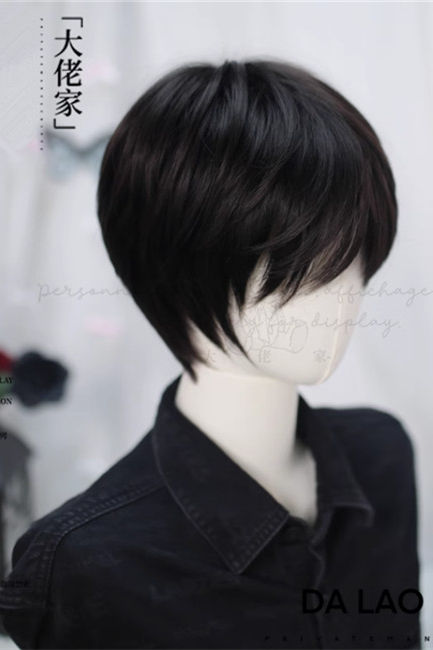 Dalao Home Short Hair Boys Daily Wig