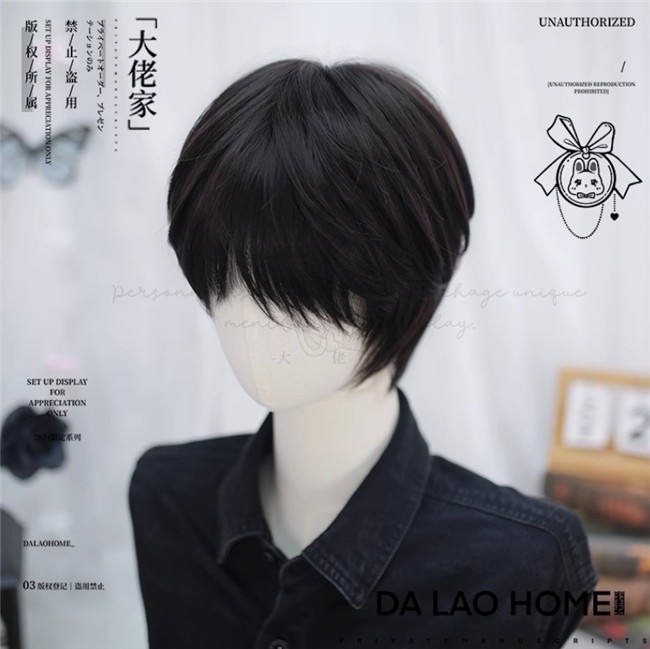 Dalao Home Short Hair Boys Daily Wig