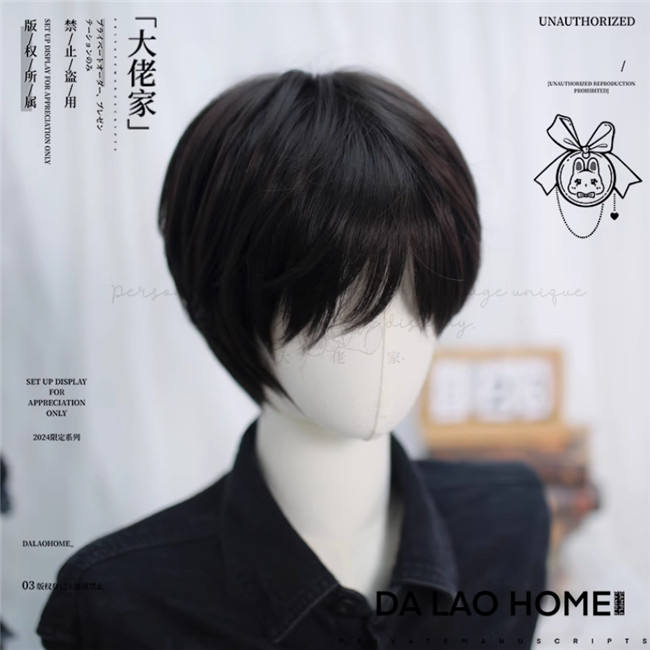 Dalao Home Short Hair Boys Daily Wig