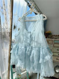 Sweet Dreamer Antique Wall Mesh Vest