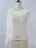 Sweet Dreamer Antique Wall Ruffle Collar Lolita Blouse