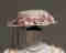 Apricot Pink Hat