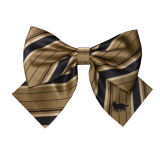 Kyouko & Harry Potter Co-signed Necktie Harry Potter Cosplay