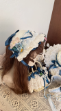 Mulberry Poetry Plus Size Lolita Dress and Accessories