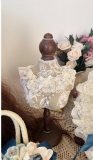 Mulberry Poetry Plus Size Lolita Dress and Accessories