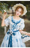 Mulberry Poetry Plus Size Lolita Dress and Accessories