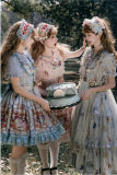 Alice In Wonderland Lolita Dress, Blouse and Overdress