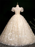 Champagne Gold Butterfies Formal Dress