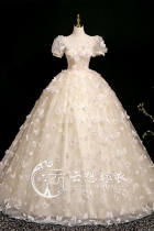 Champagne Gold Butterfies Formal Dress
