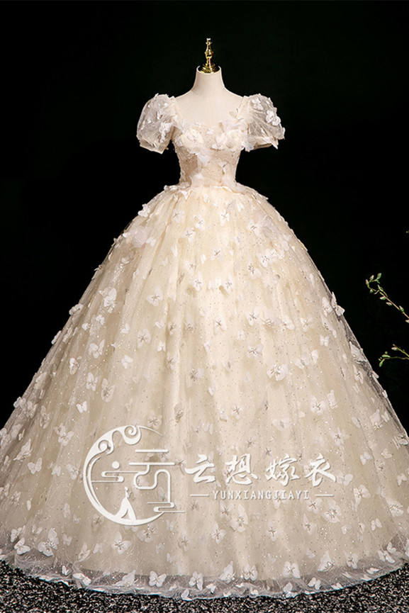 Champagne Gold Butterfies Formal Dress