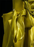 Gold Satin Tailing Prom Dress