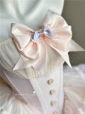 Poshepose Little Ballet Pink Princess Dress