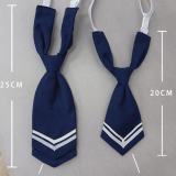 Summer Sweet JK Uniform Dress