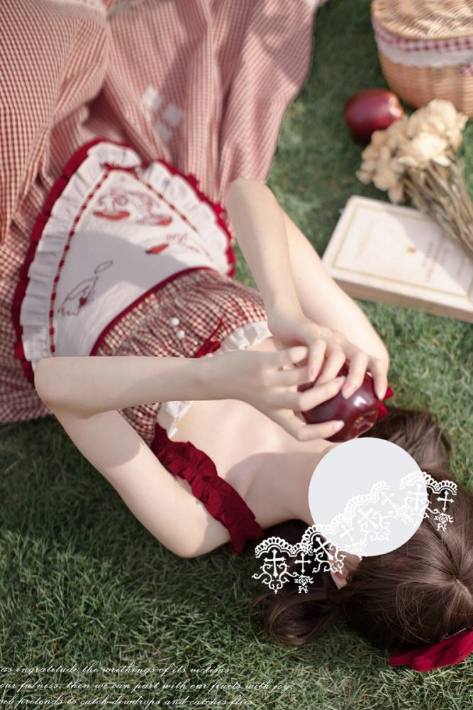 Picnic Red Plaid Jumper Dress + Shirt + Apron