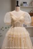 Champagne Long Fluffy Princess Prom Dress