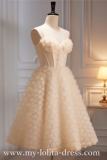 Champagne Flowers Short Princess Prom Dress