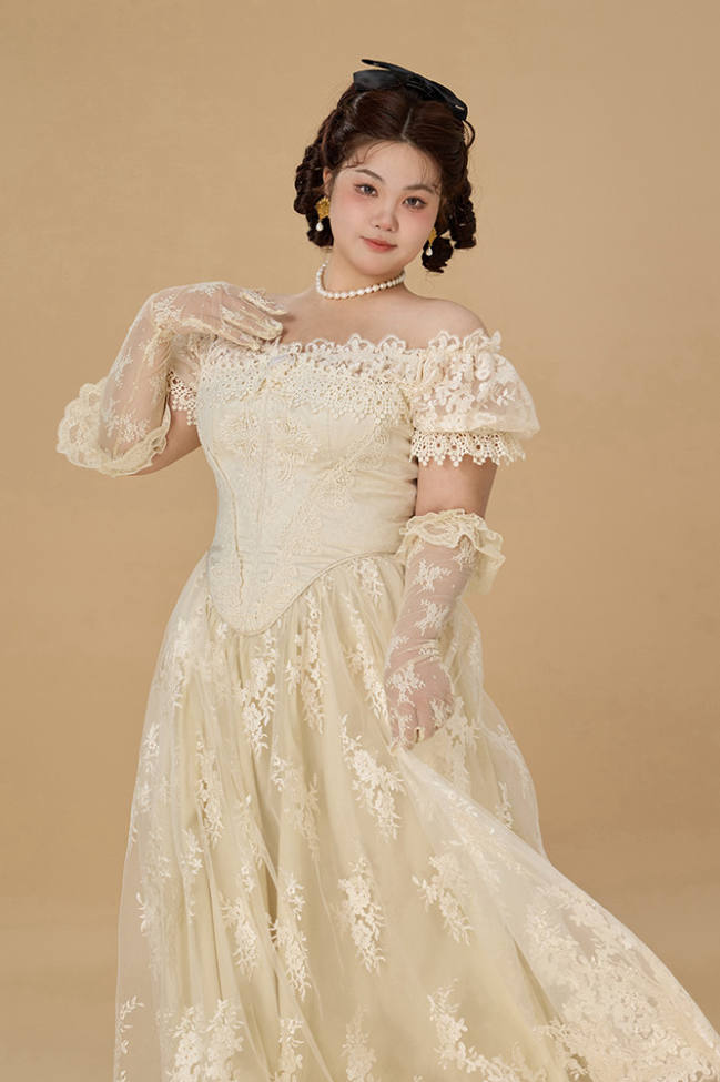 French Lace Plus Size One Piece Dress Plus Size Dresses for Women